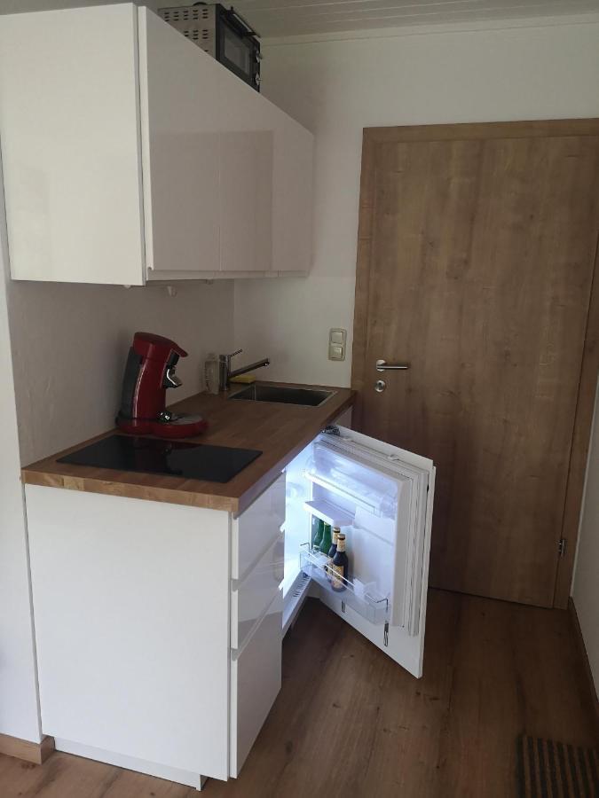 Ferien-Garconniere Hemetsberger Apartment Weyregg Ngoại thất bức ảnh